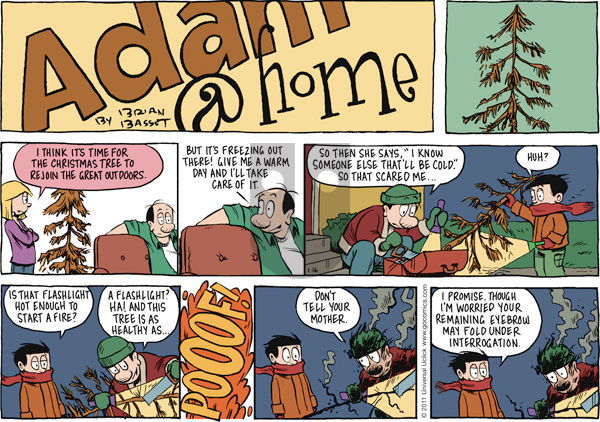 Adam@Home on Sunday January 16, 2011 Comic Strip