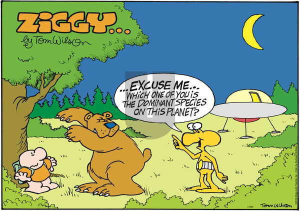 Ziggy on Sunday November 24, 2019 Comic Strip