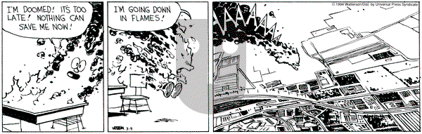 Calvin and Hobbes on Saturday July 6, 1996 Comic Strip