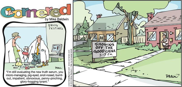 Cornered on Sunday July 8, 2012 Comic Strip