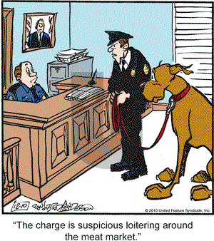 Marmaduke on Friday December 10, 2010 Comic Strip