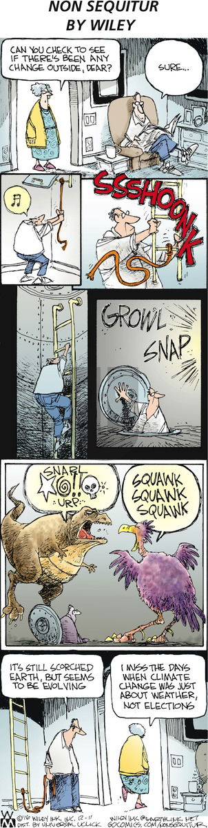 Non Sequitur on Sunday December 11, 2016 Comic Strip