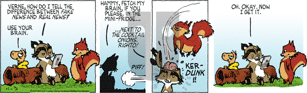 Over the Hedge on Monday April 3, 2017 Comic Strip