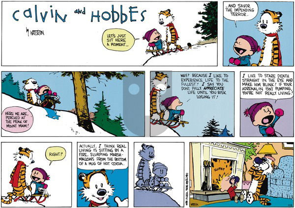Calvin and Hobbes on Sunday January 27, 1991 Comic Strip