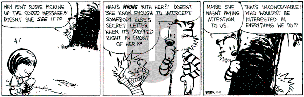 Calvin and Hobbes - Tuesday August 8, 2023 Comic Strip