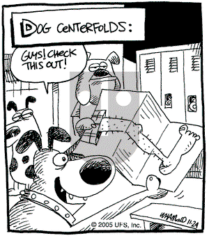 Reality Check on Thursday November 24, 2005 Comic Strip
