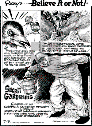 Ripley's Believe It or Not on Thursday July 13, 2006 Comic Strip