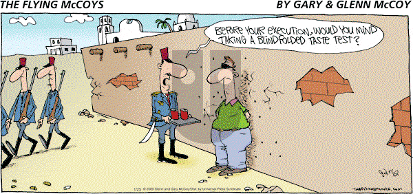 The Flying McCoys on Sunday January 25, 2009 Comic Strip