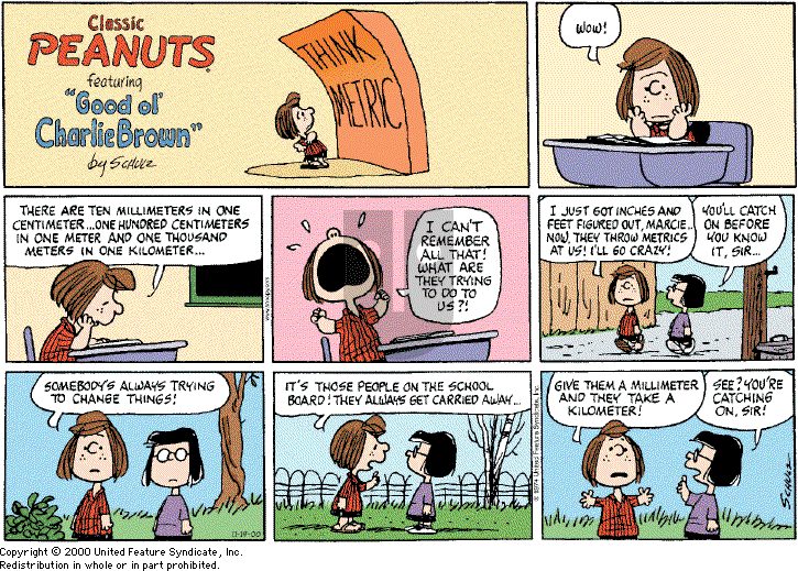 Peanuts - Sunday November 19, 2000 Comic Strip