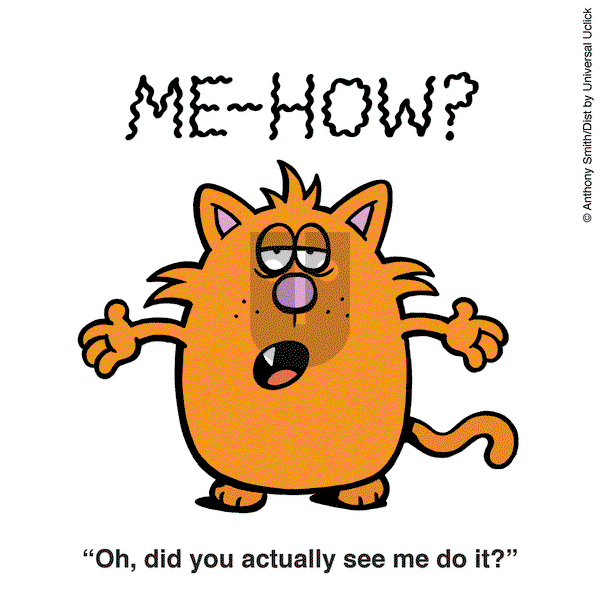 Learn to Speak Cat on Friday March 14, 2025 Comic Strip