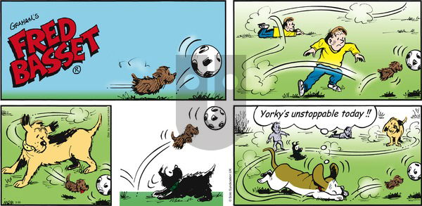 Fred Basset - Sunday March 30, 2014 Comic Strip