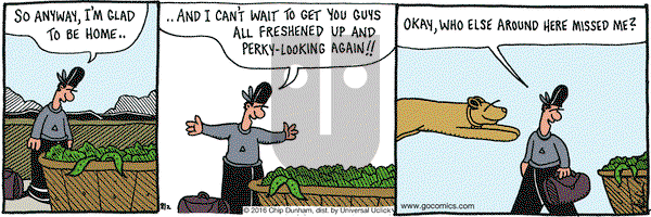 Overboard on Tuesday August 2, 2016 Comic Strip