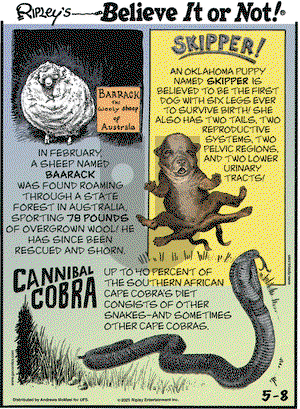 Ripley's Believe It or Not on Saturday May 8, 2021 Comic Strip