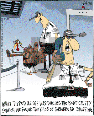 The Flying McCoys on Tuesday November 20, 2012 Comic Strip