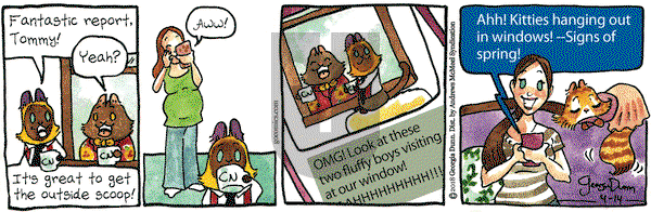 Breaking Cat News on Saturday April 14, 2018 Comic Strip