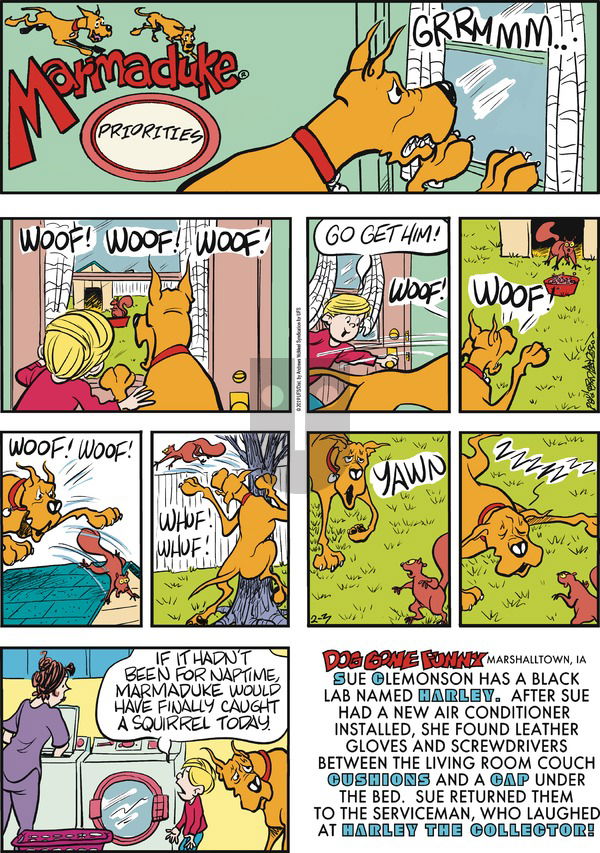Marmaduke on Sunday February 3, 2019 Comic Strip