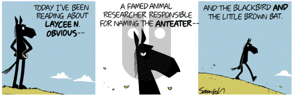 Dark Side of the Horse on Tuesday April 18, 2017 Comic Strip