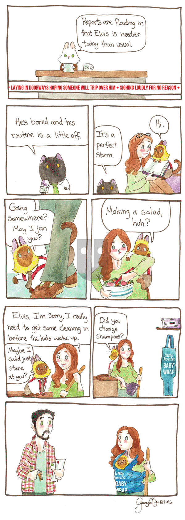Breaking Cat News on Monday March 13, 2017 Comic Strip