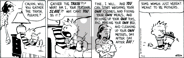 Calvin and Hobbes - Tuesday July 11, 1989 Comic Strip