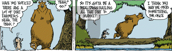 The Grizzwells on Tuesday June 3, 2014 Comic Strip