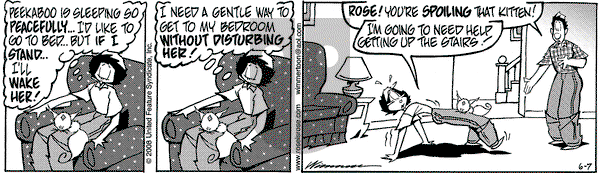 Rose is Rose on Saturday June 7, 2008 Comic Strip