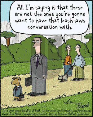 Loose Parts on Friday May 16, 2025 Comic Strip