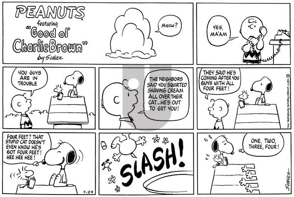 Peanuts on Sunday July 24, 1977 Comic Strip