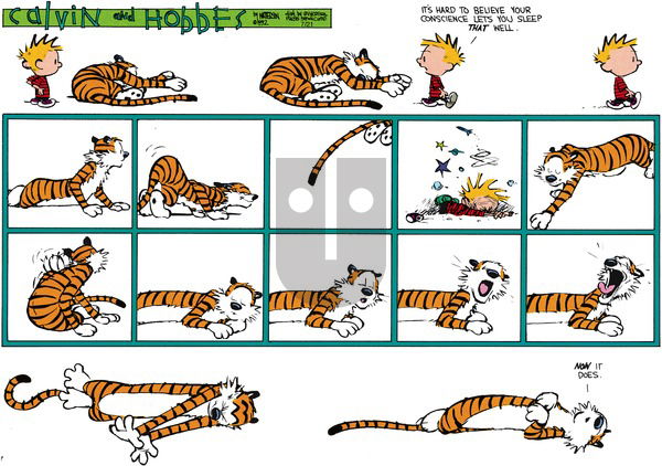 Calvin and Hobbes on Sunday September 6, 1992 Comic Strip