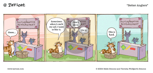 @Tavicat on Monday December 30, 2024 Comic Strip