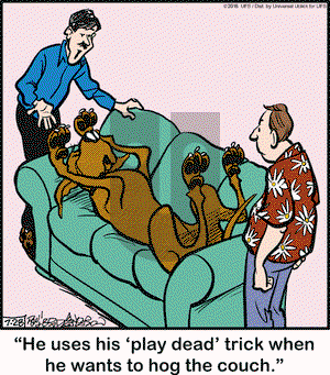 Marmaduke on Thursday July 28, 2016 Comic Strip