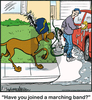 Marmaduke on Wednesday February 27, 2019 Comic Strip