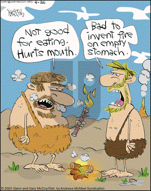 The Flying McCoys on Saturday April 26, 2025 Comic Strip