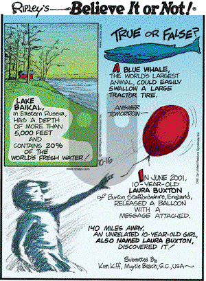 Ripley's Believe It or Not on Thursday October 16, 2008 Comic Strip