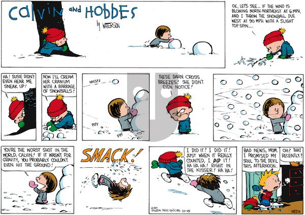 Calvin and Hobbes - Sunday January 22, 1989 Comic Strip