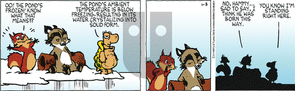 Over the Hedge on Monday January 8, 2018 Comic Strip