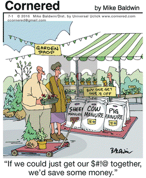 Cornered on Friday July 1, 2016 Comic Strip