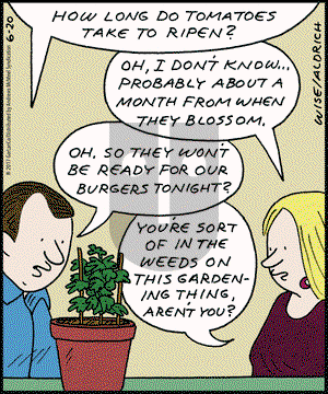 Real Life Adventures on Tuesday June 20, 2017 Comic Strip