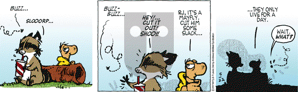 Over the Hedge on Monday May 22, 2017 Comic Strip