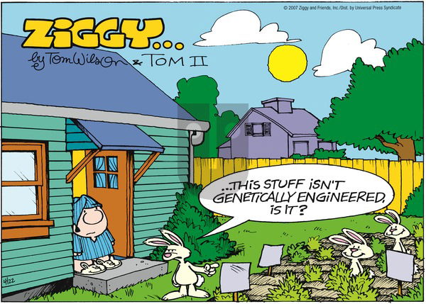 Ziggy on Monday June 11, 2007 Comic Strip