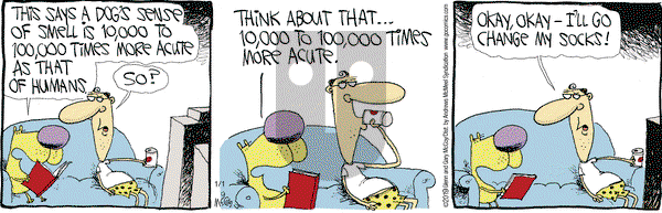 The Duplex on Tuesday January 1, 2019 Comic Strip