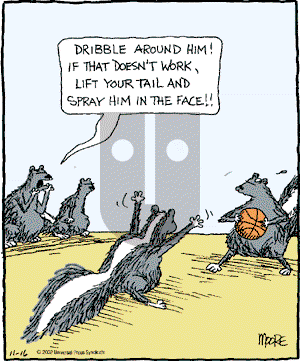 In the Bleachers - Saturday November 16, 2002 Comic Strip