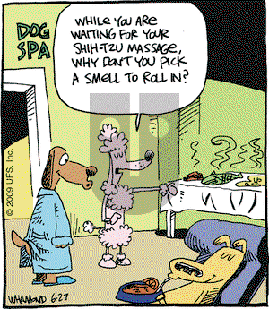 Reality Check on Saturday June 27, 2009 Comic Strip