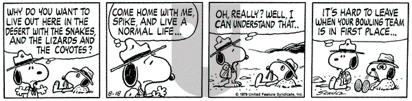 Peanuts on Saturday August 18, 1979 Comic Strip