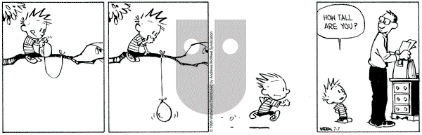 Calvin and Hobbes on 2025-07-07 Comic Strip