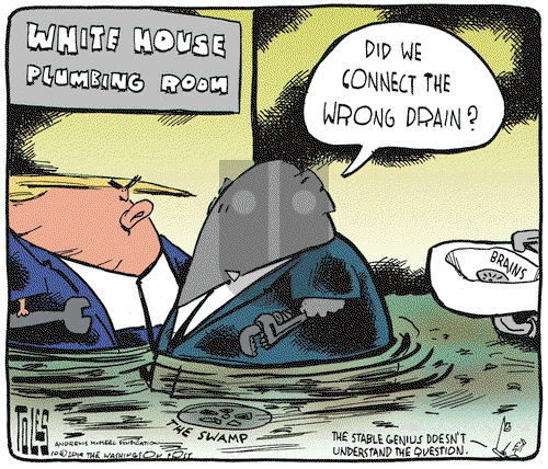 Tom Toles on Tuesday October 29, 2019 Comic Strip