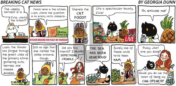 Breaking Cat News on Sunday November 19, 2017 Comic Strip