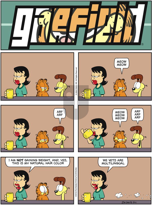Garfield - Sunday September 11, 2022 Comic Strip