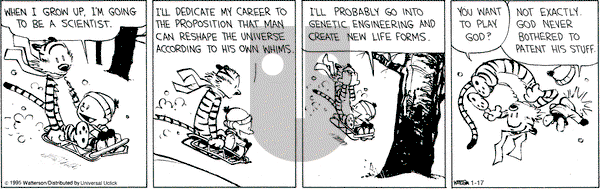 Calvin and Hobbes on Saturday January 17, 2015 Comic Strip