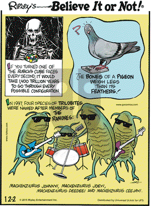 Ripley's Believe It or Not on Wednesday December 2, 2015 Comic Strip