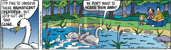 Rose is Rose on Wednesday July 30, 2008 Comic Strip